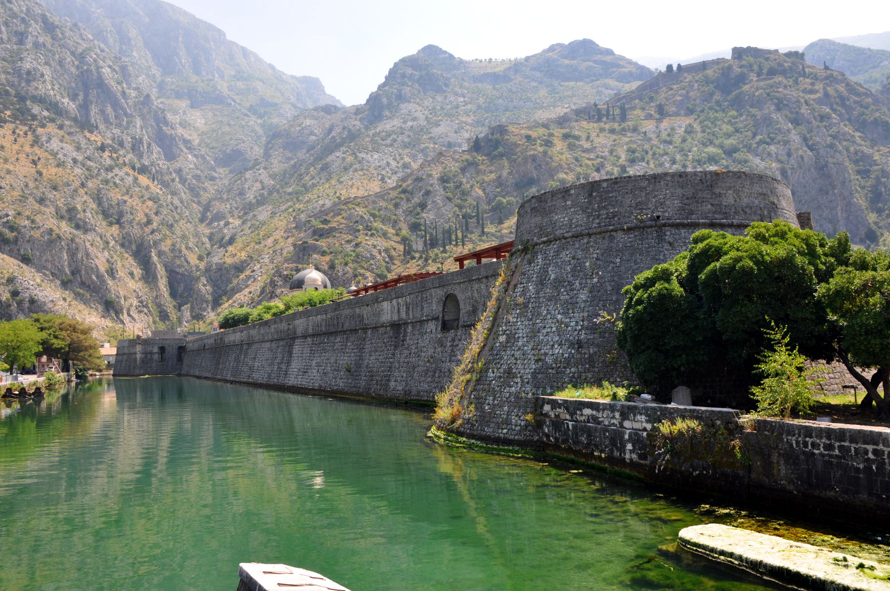 Kotor
